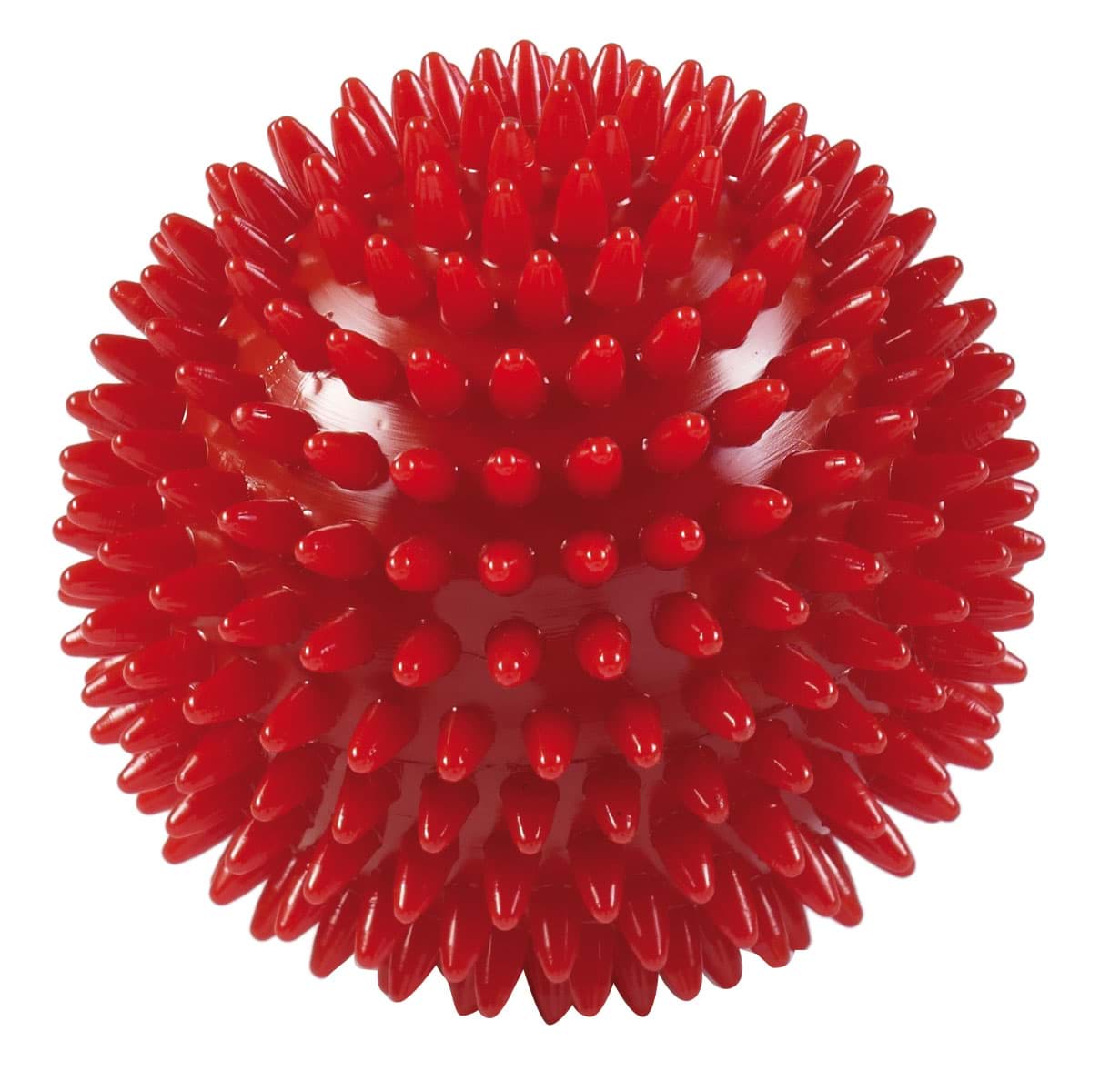 Igelball SPIKY BALL